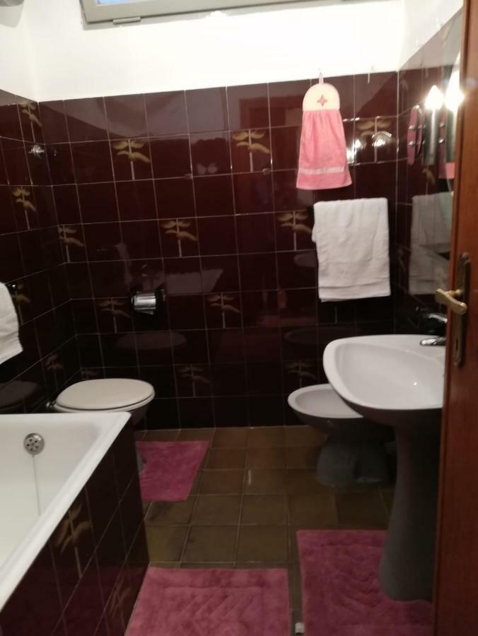 Pisa Apartment Экстерьер фото